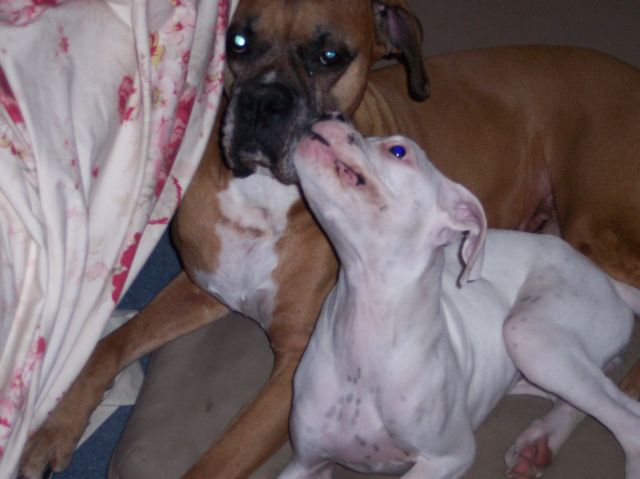kisses