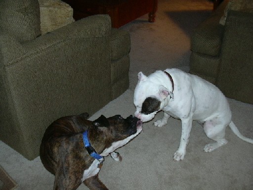 Kissy face!