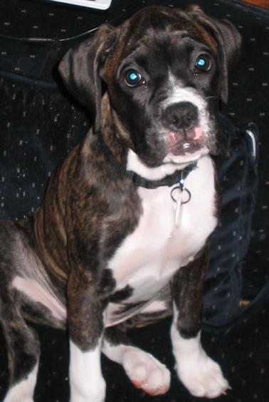 kit_13_weeks