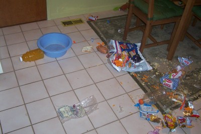 Kitchen Carnage!!