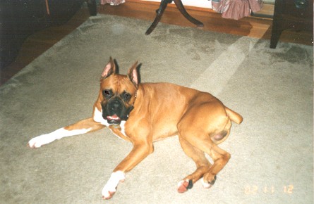 Kito