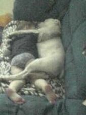 knackered!