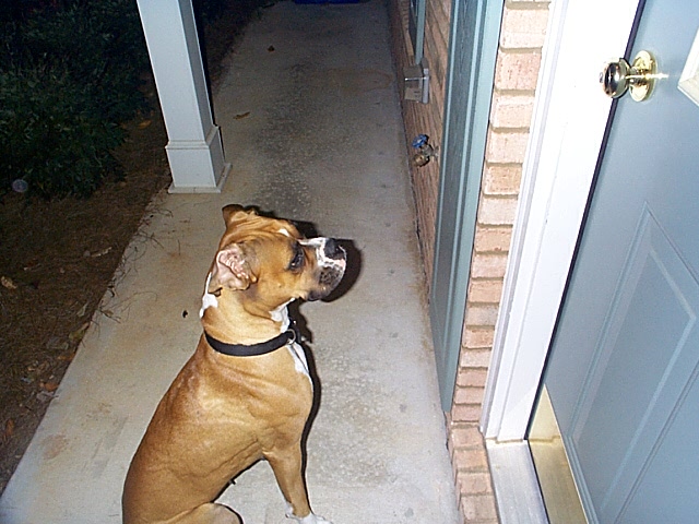 Knock...Knock. Can Everest (her best friend) come out and play??