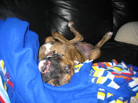 knocked out