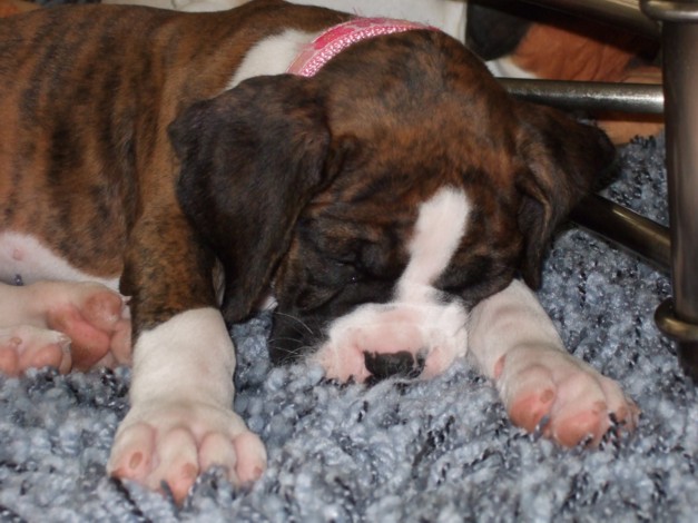 Knocked out!