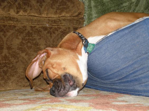 knocked out