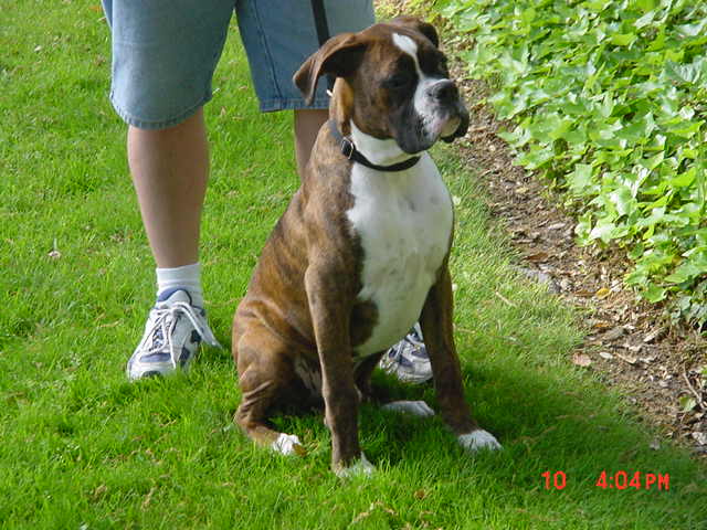 Knuckles at 5 months