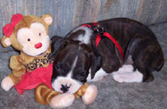 KO and monkey