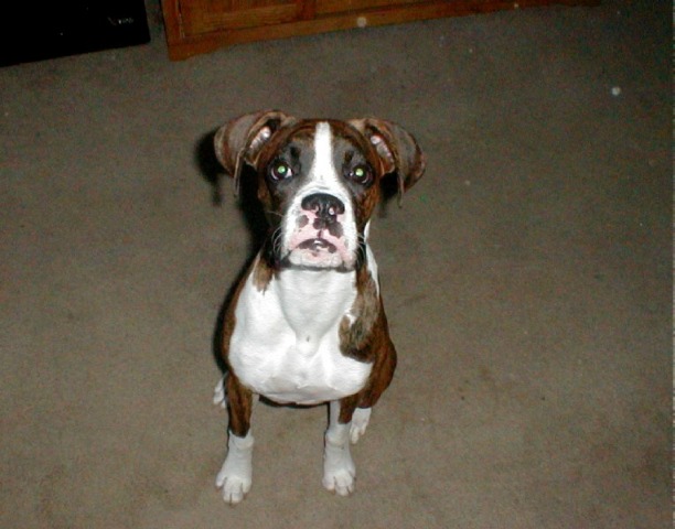 Kobie...again!