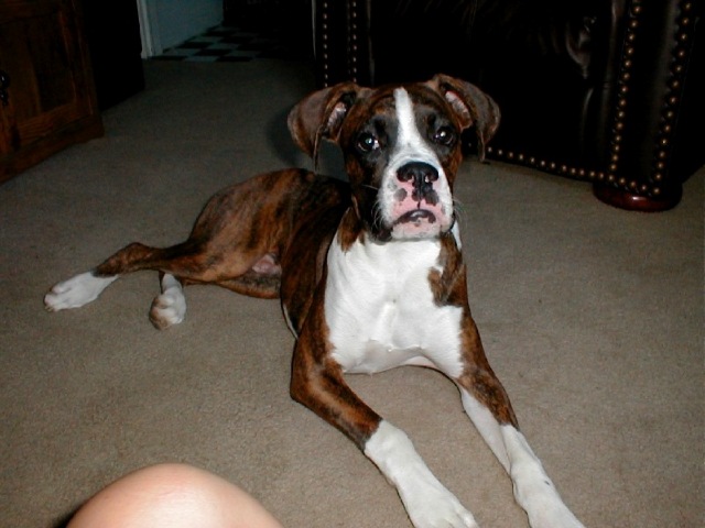 Kobie