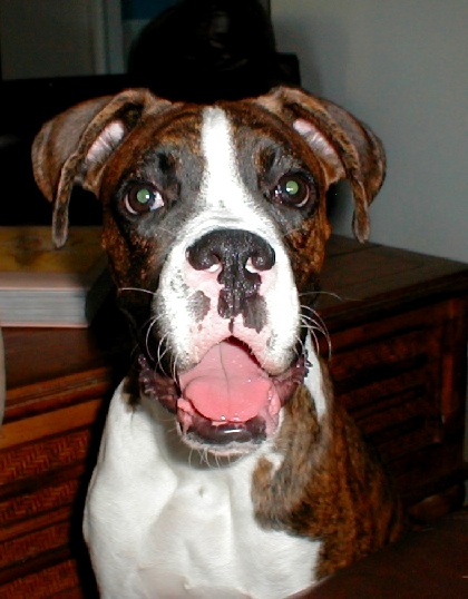 Kobie!!!