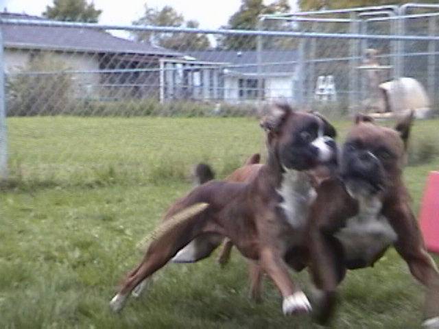 Kodi and Tyson