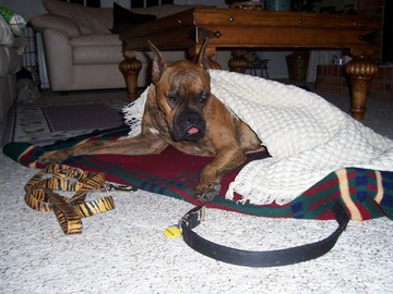 kody_after_surgery