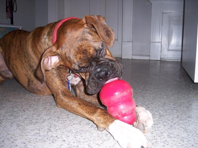 Kong