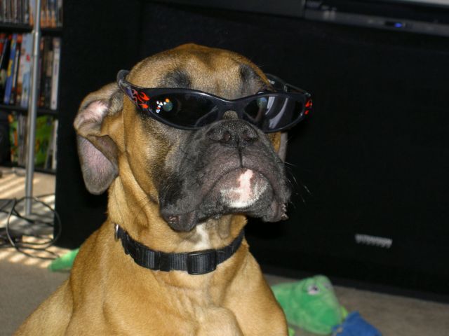 Kool Krush