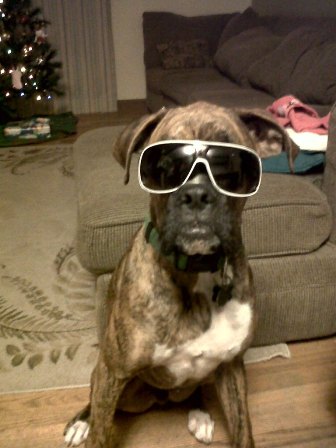Kool Mo Dee got nothing on me!