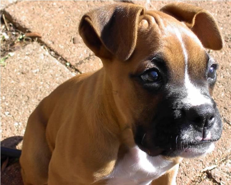 Kostya - 2 months