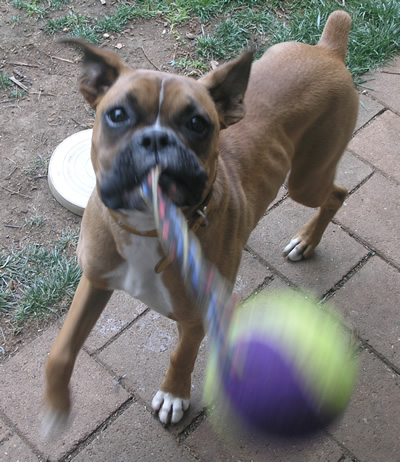 Kostya playing with his toy
