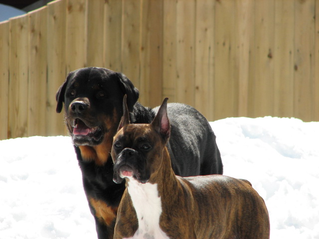 Kozaq & Kato