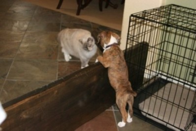 Kronk Peeking at Chloe