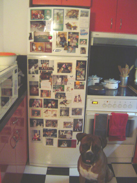 Krose in front of his Xmas cards from all the friends at BW!!