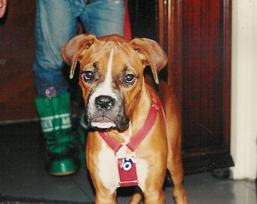 Krose when he was 4 months old