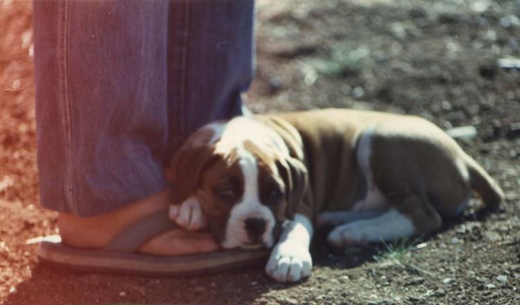 Kruger, First Day Home