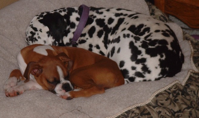 Kya and Tasha