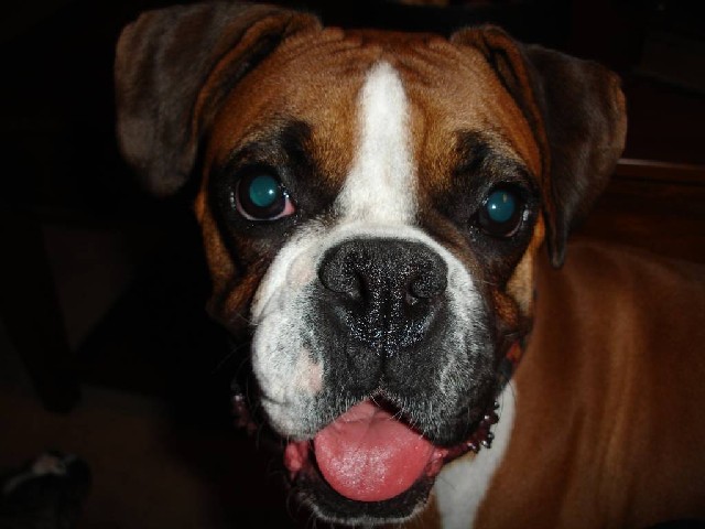 Kya at 2.5 years old