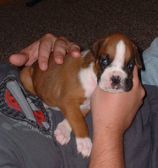Kya at 4 Weeks