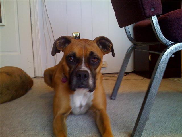 Kyla relaxing at the office