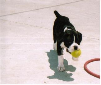 Kylie 10 weeks