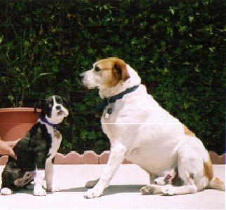 Kylie & Chato