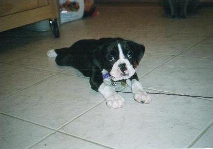 kylie's first day home