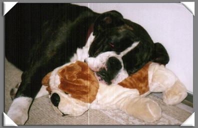 Kylies pillow