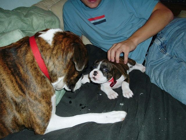 Kynd and Doja's 1st meeting....