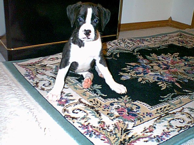 Kyser