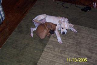 Lacey and Sandie