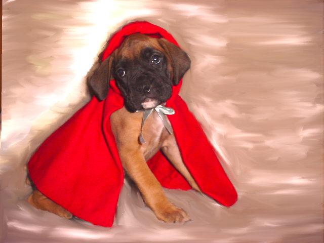 Lacy  Red Riding Hood