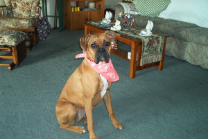lady lexis
