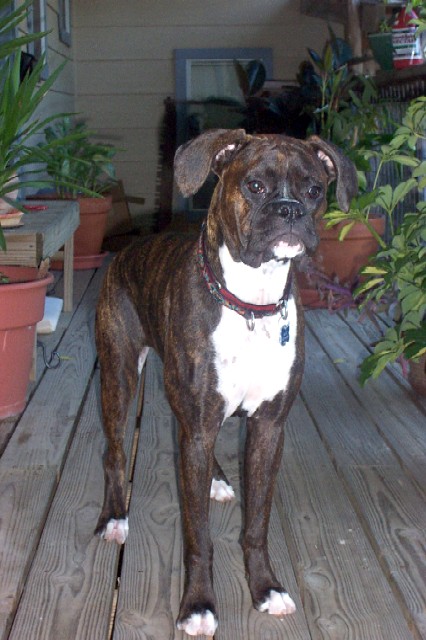 Lael at 10 months.