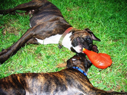 Lael & Eva Playing