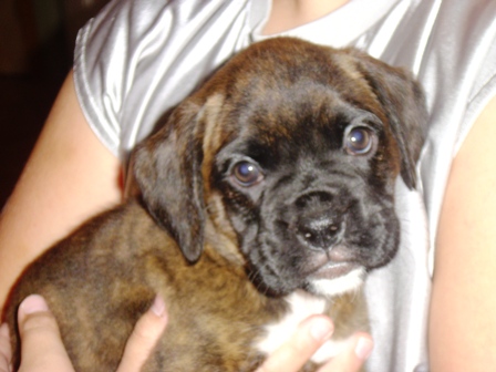 Laila at 7 weeks
