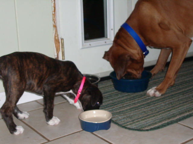 Laila&Cashy
