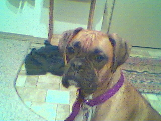 Laila looking pretty