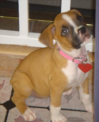 *Laila*