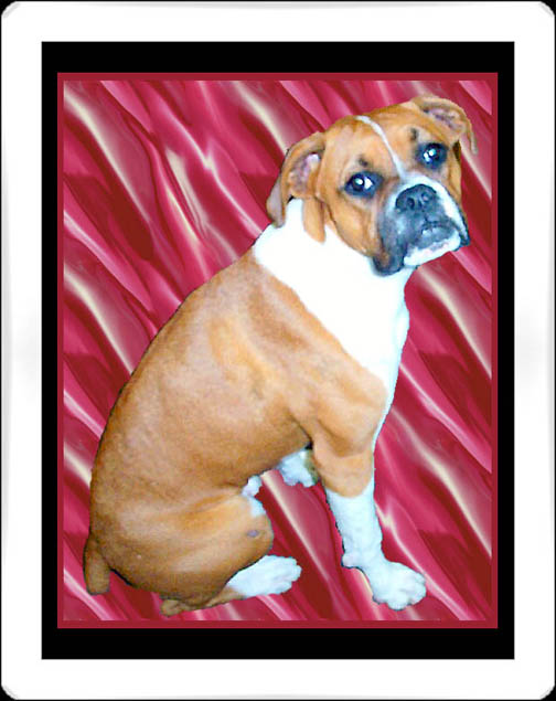 Laila_Dec 2005
