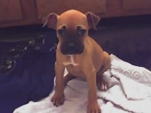 Laila's first day at home....