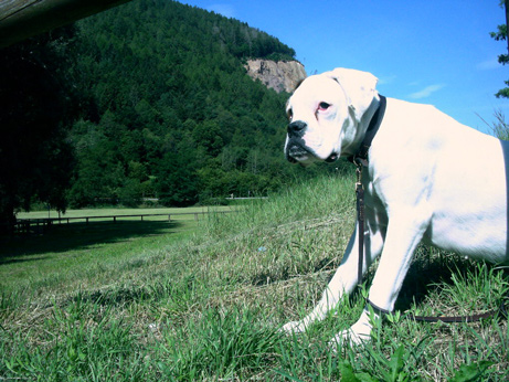 Lana at Lases lake