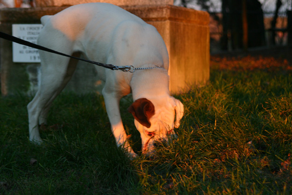 Lana at park